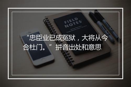 “忠臣业已成冤狱，大将从今合杜门。”拼音出处和意思