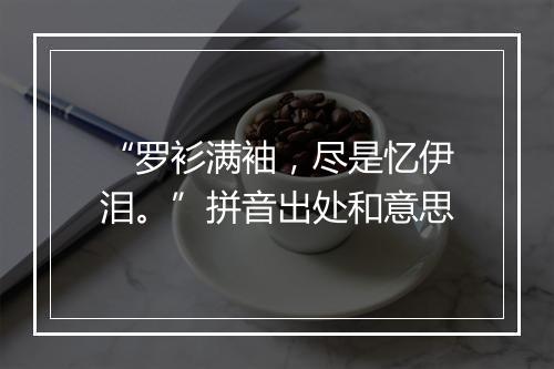 “罗衫满袖，尽是忆伊泪。”拼音出处和意思