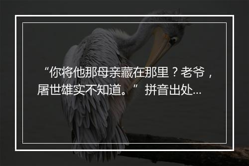 “你将他那母亲藏在那里？老爷，屠世雄实不知道。”拼音出处和意思