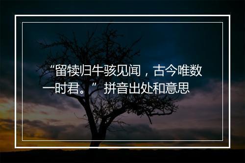 “留犊归牛骇见闻，古今唯数一时君。”拼音出处和意思