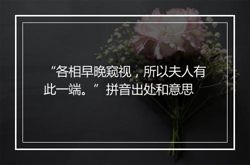 “各相早晚窥视，所以夫人有此一端。”拼音出处和意思