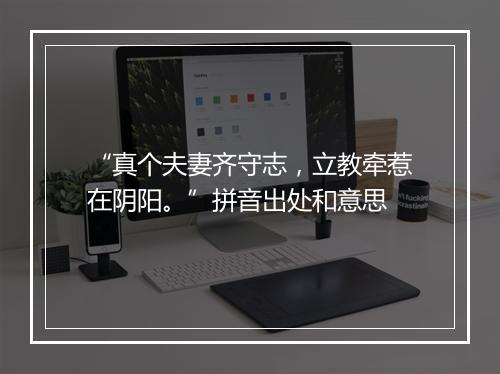 “真个夫妻齐守志，立教牵惹在阴阳。”拼音出处和意思