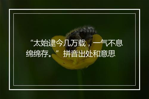 “太始逮今几万载，一气不息绵绵存。”拼音出处和意思