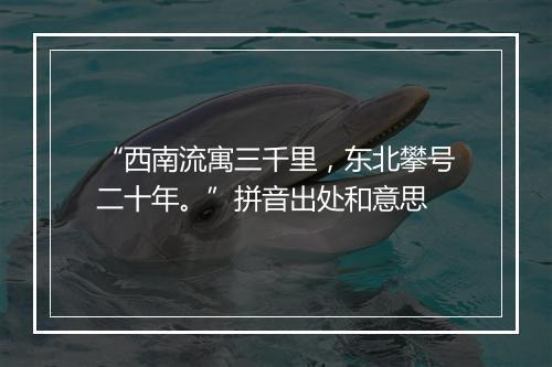 “西南流寓三千里，东北攀号二十年。”拼音出处和意思