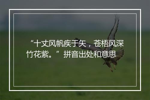 “十丈风帆疾于矢，苍梧风深竹花紫。”拼音出处和意思