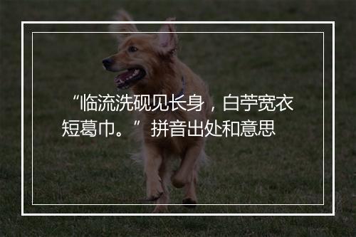 “临流洗砚见长身，白苧宽衣短葛巾。”拼音出处和意思