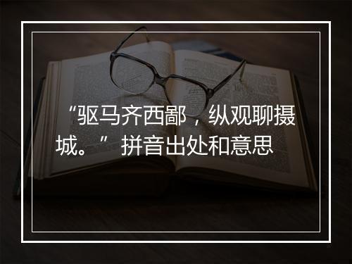 “驱马齐西鄙，纵观聊摄城。”拼音出处和意思