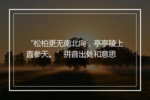 “松柏更无南北向，亭亭陵上直参天。”拼音出处和意思