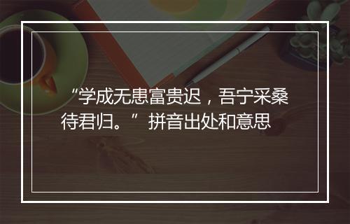 “学成无患富贵迟，吾宁采桑待君归。”拼音出处和意思