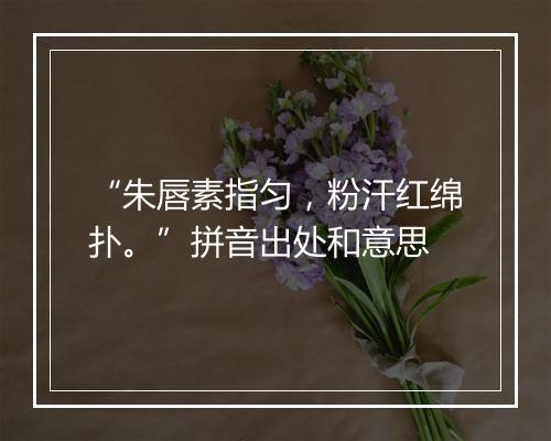 “朱唇素指匀，粉汗红绵扑。”拼音出处和意思