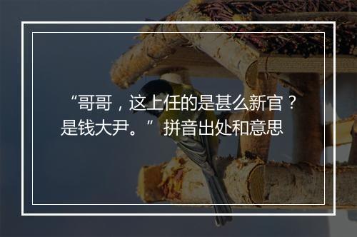 “哥哥，这上任的是甚么新官？是钱大尹。”拼音出处和意思