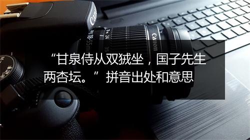 “甘泉侍从双狨坐，国子先生两杏坛。”拼音出处和意思