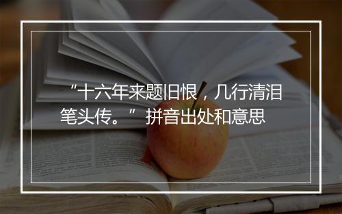 “十六年来题旧恨，几行清泪笔头传。”拼音出处和意思