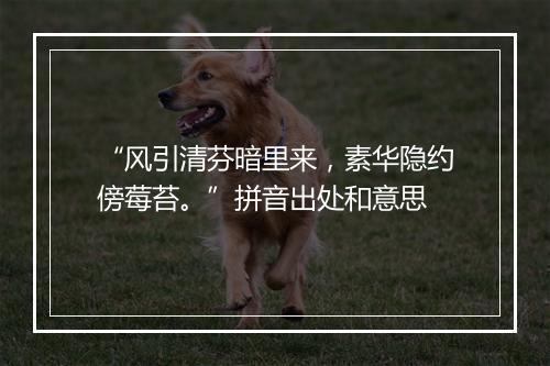 “风引清芬暗里来，素华隐约傍莓苔。”拼音出处和意思