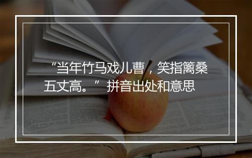 “当年竹马戏儿曹，笑指篱桑五丈高。”拼音出处和意思