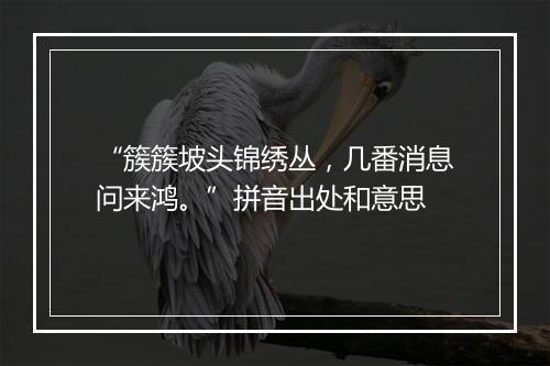 “簇簇坡头锦绣丛，几番消息问来鸿。”拼音出处和意思