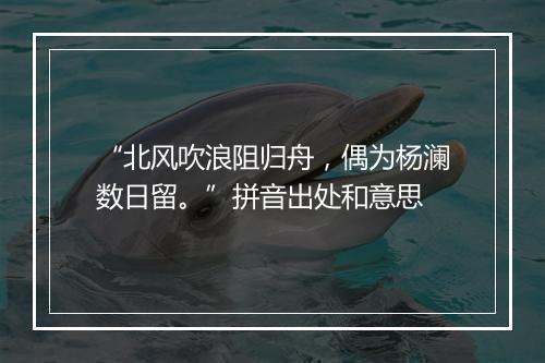 “北风吹浪阻归舟，偶为杨澜数日留。”拼音出处和意思