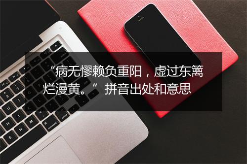 “病无憀赖负重阳，虚过东篱烂漫黄。”拼音出处和意思