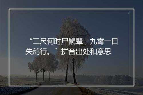 “三尺何时尸鼠辈，九霄一日失鹓行。”拼音出处和意思