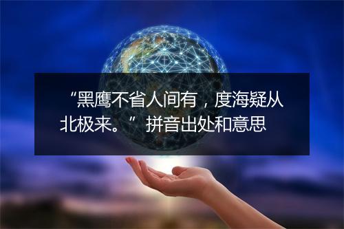 “黑鹰不省人间有，度海疑从北极来。”拼音出处和意思