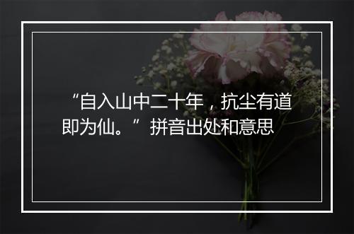 “自入山中二十年，抗尘有道即为仙。”拼音出处和意思