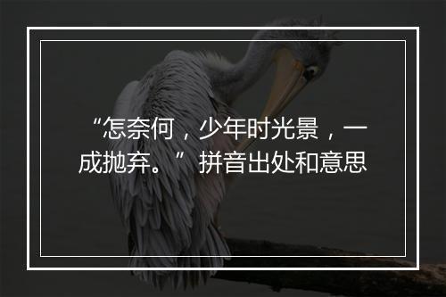 “怎奈何，少年时光景，一成抛弃。”拼音出处和意思