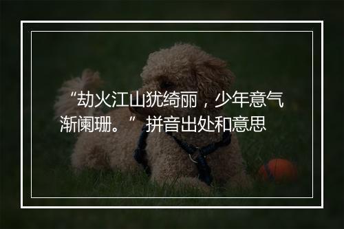 “劫火江山犹绮丽，少年意气渐阑珊。”拼音出处和意思