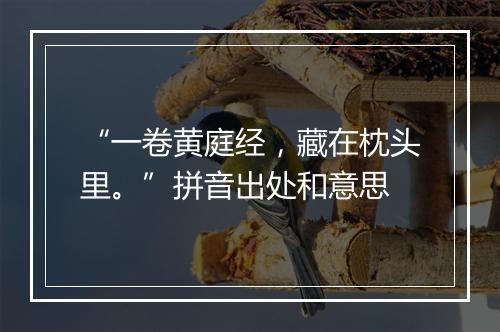 “一卷黄庭经，藏在枕头里。”拼音出处和意思