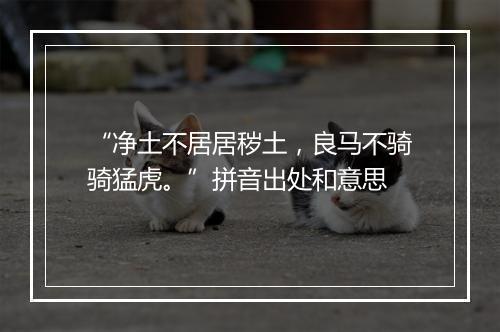 “净土不居居秽土，良马不骑骑猛虎。”拼音出处和意思