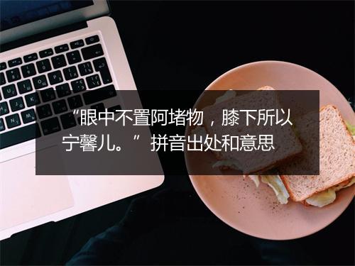 “眼中不置阿堵物，膝下所以宁馨儿。”拼音出处和意思