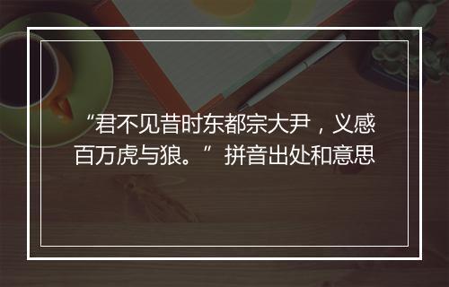 “君不见昔时东都宗大尹，义感百万虎与狼。”拼音出处和意思