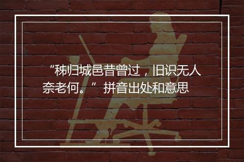 “秭归城邑昔曾过，旧识无人奈老何。”拼音出处和意思