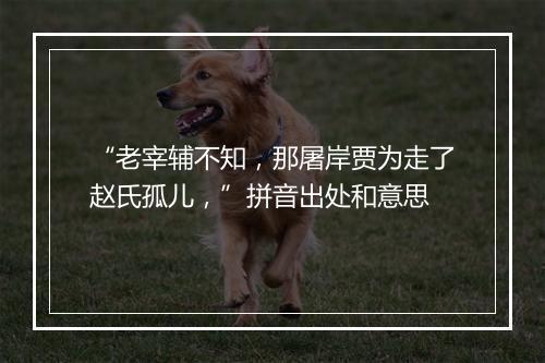 “老宰辅不知，那屠岸贾为走了赵氏孤儿，”拼音出处和意思