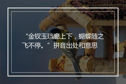 “金钗玉珰廊上下，蝴蝶随之飞不停。”拼音出处和意思