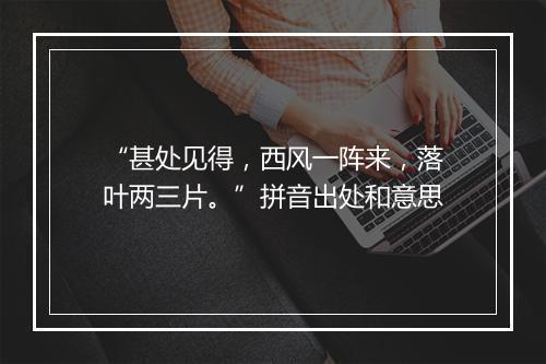 “甚处见得，西风一阵来，落叶两三片。”拼音出处和意思