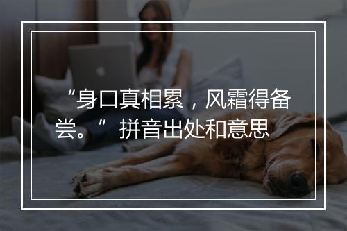 “身口真相累，风霜得备尝。”拼音出处和意思