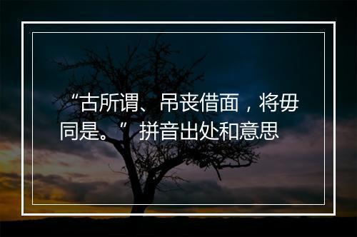 “古所谓、吊丧借面，将毋同是。”拼音出处和意思