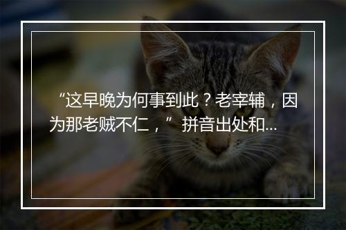 “这早晚为何事到此？老宰辅，因为那老贼不仁，”拼音出处和意思