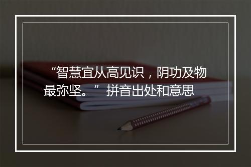 “智慧宜从高见识，阴功及物最弥坚。”拼音出处和意思