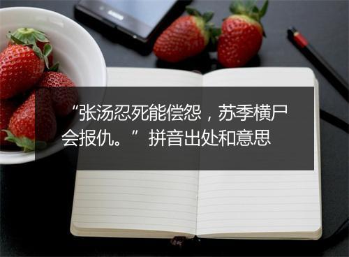 “张汤忍死能偿怨，苏季横尸会报仇。”拼音出处和意思