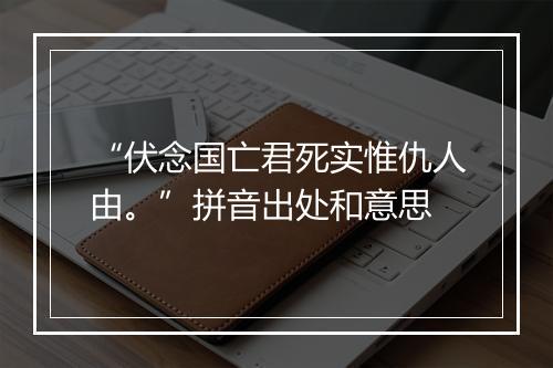 “伏念国亡君死实惟仇人由。”拼音出处和意思