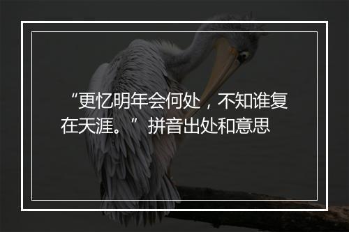 “更忆明年会何处，不知谁复在天涯。”拼音出处和意思