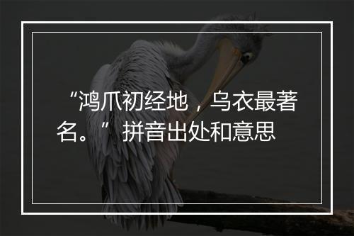 “鸿爪初经地，乌衣最著名。”拼音出处和意思