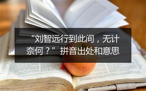 “刘智远行到此间，无计奈何？”拼音出处和意思