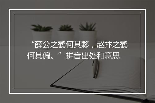 “薛公之鹤何其夥，赵抃之鹤何其偏。”拼音出处和意思