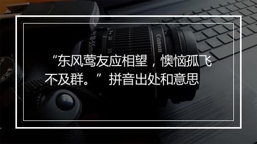 “东风莺友应相望，懊恼孤飞不及群。”拼音出处和意思