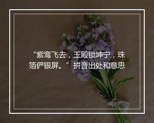 “紫鸾飞去，玉殿锁坤宁，珠箔俨银屏。”拼音出处和意思