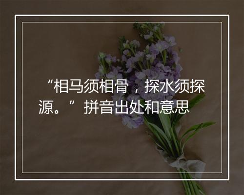 “相马须相骨，探水须探源。”拼音出处和意思