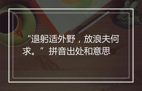 “退躬适外野，放浪夫何求。”拼音出处和意思