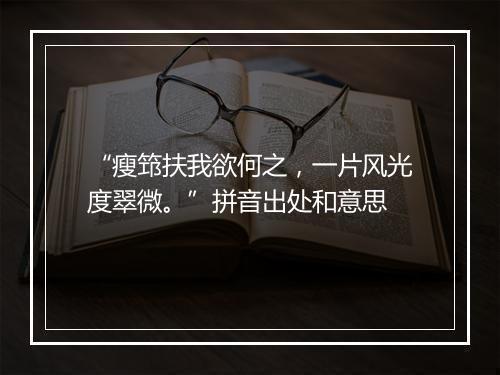 “瘦筇扶我欲何之，一片风光度翠微。”拼音出处和意思